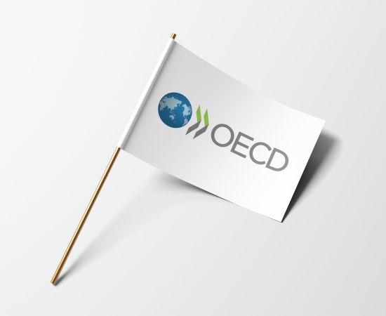 Nuevos principios de gobierno corporativo OCDE