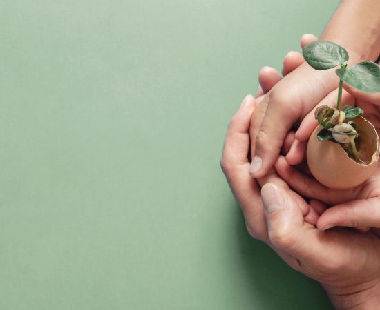 Novedades sobre el Proyecto de Ley de Prevención de las Pérdidas y el Desperdicio Alimentario